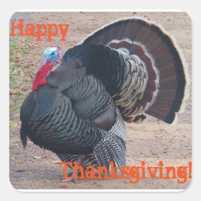 Happy Thanksgiving Turkey Photo Sticker (Front)