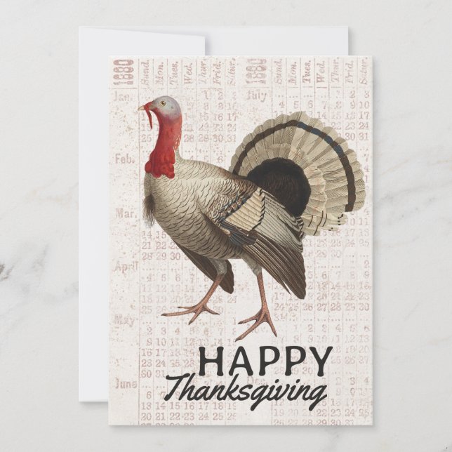 Happy Thanksgiving Vintage Turkey Ephemera Fall  Holiday Card (Front)