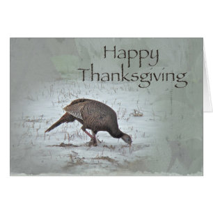 Happy Thanksgiving Wild Turkey