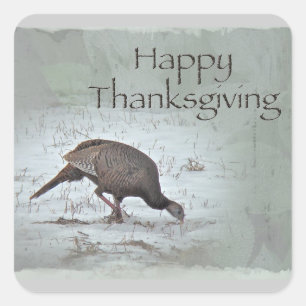 Happy Thanksgiving Wild Turkey Square Sticker
