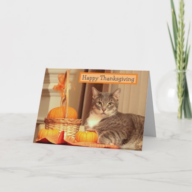 Happy Thanksgiving with Cat Greeting Card (Front)