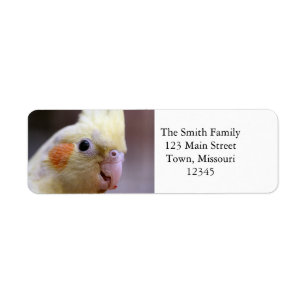 Happy tiel