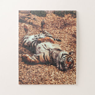 Happy Tiger Belly Up Rolling in Leaves Jigsaw Puzzle