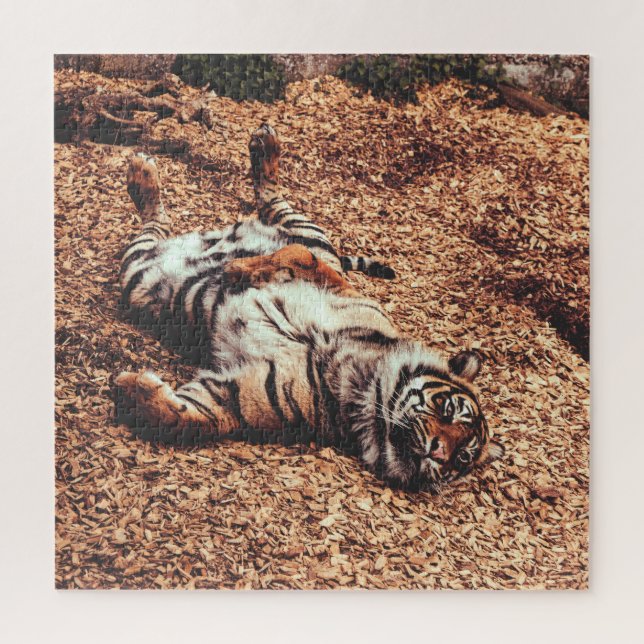 Happy Tiger Belly Up Rolling in Leaves Jigsaw Puzzle (Vertical)