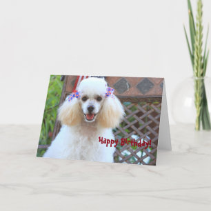 Happy Toy Poodle Dog  greeting card