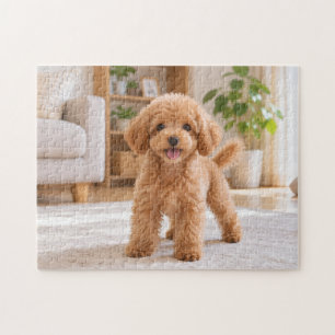 Happy Toy Poodle Puppy in a Cozy Home Jigsaw Puzzle