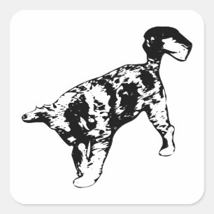 Happy Trails And Playful Tales Square Sticker