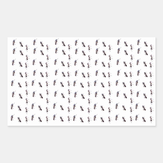 Happy Trails - ant #1 Sticker (Front)