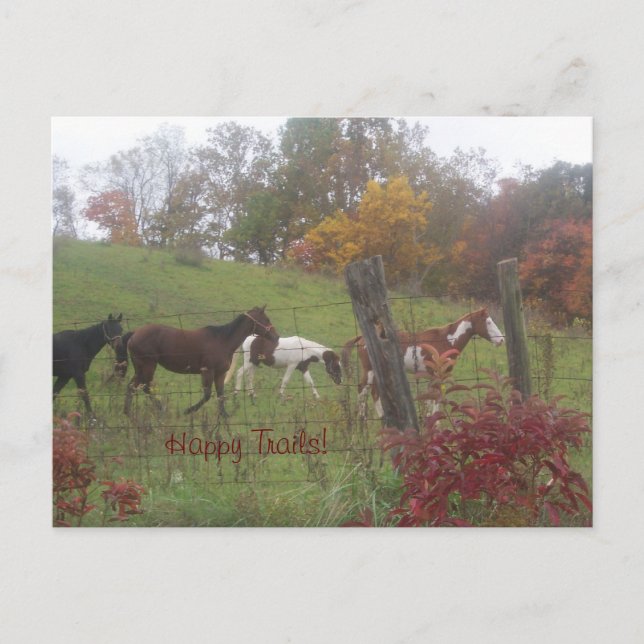 Happy Trails! Postcard (Front)