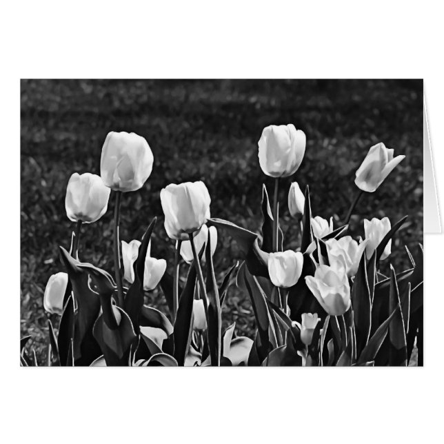Happy Tulips Black and White (Front Horizontal)