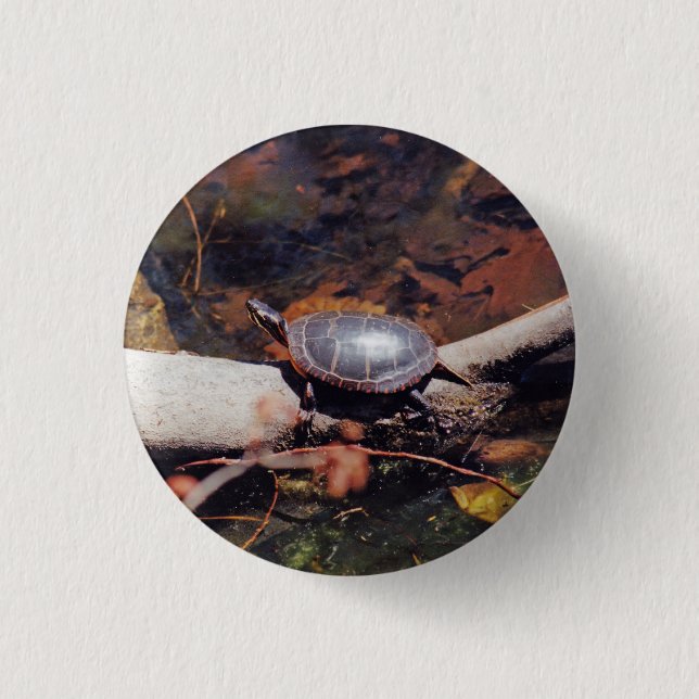 Happy Turtle 1 Inch Round Button (Front)