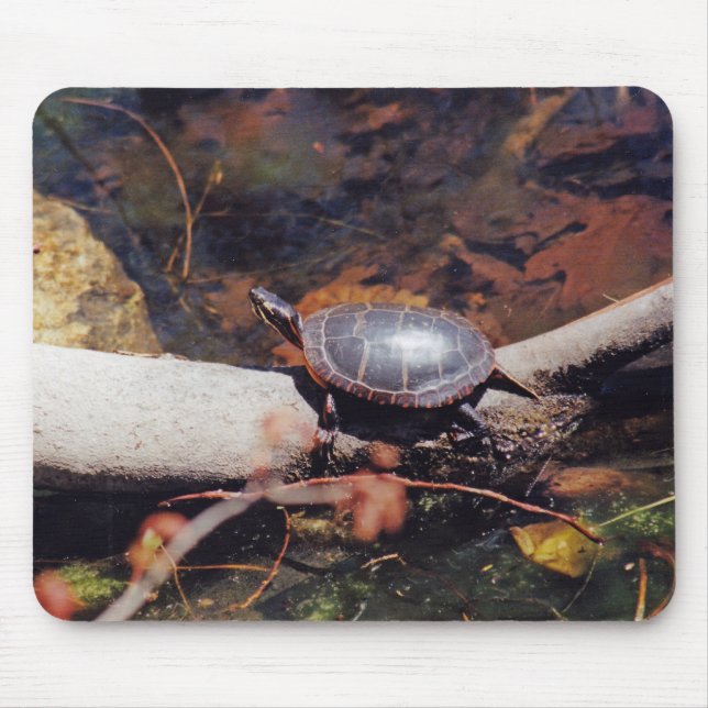 Happy Turtle Mouse Pad (Front)