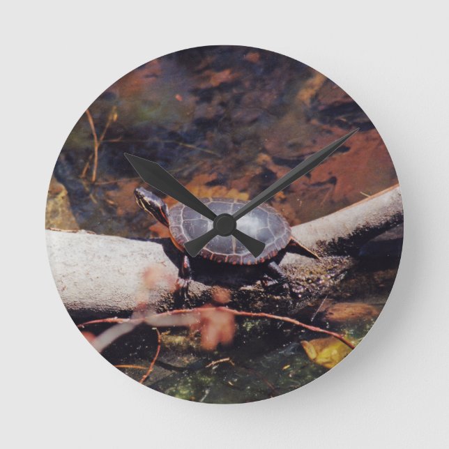 Happy Turtle Round Clock (Front)