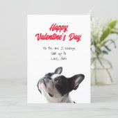 Happy Valentine’s Day Boston Terrier Card (Standing Front)