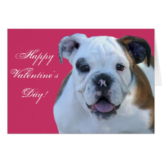 Happy Valentine's Bulldog puppy greeting card