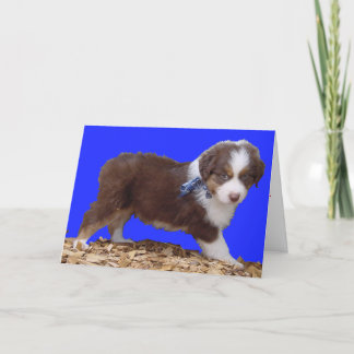 Happy Valentine's Day Aussie Holiday Card