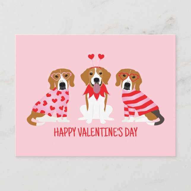 Happy Valentines Day Beagle Dogs Postcard (Front)