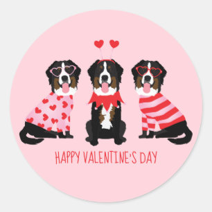 Happy Valentines Day Bernese Mountain Dogs Classic Round Sticker