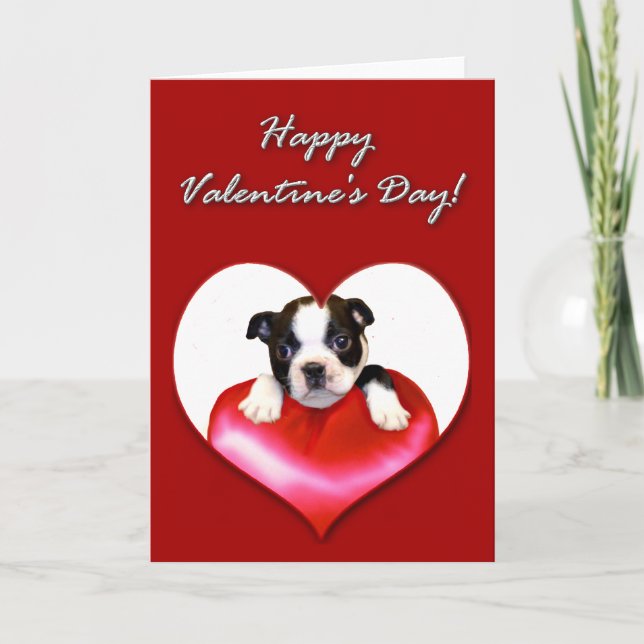 Happy Valentine's Day Boston Terrier card (Front)