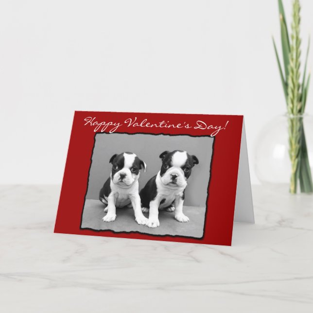 Happy Valentine's Day Boston Terrier Greeting Card (Front)
