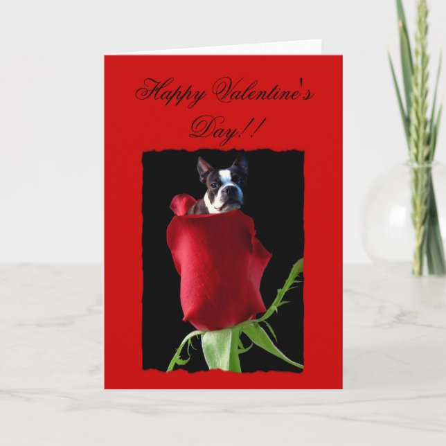 Happy Valentine's Day Boston Terrier Greeting Card (Front)