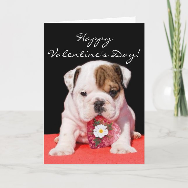 Happy Valentine's Day bulldog puppy greeting card (Front)