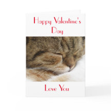 Happy Valentine's Day Cat Card