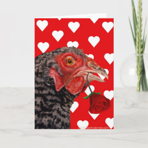 Happy Valentine's Day Chicken Holiday Card