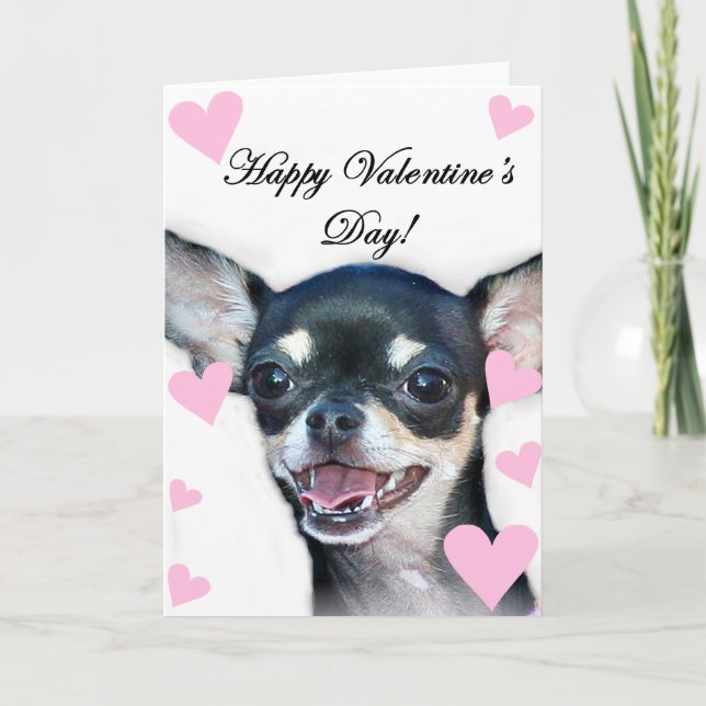 Happy Valentine's Day Chihuahua Holiday Card (Front)