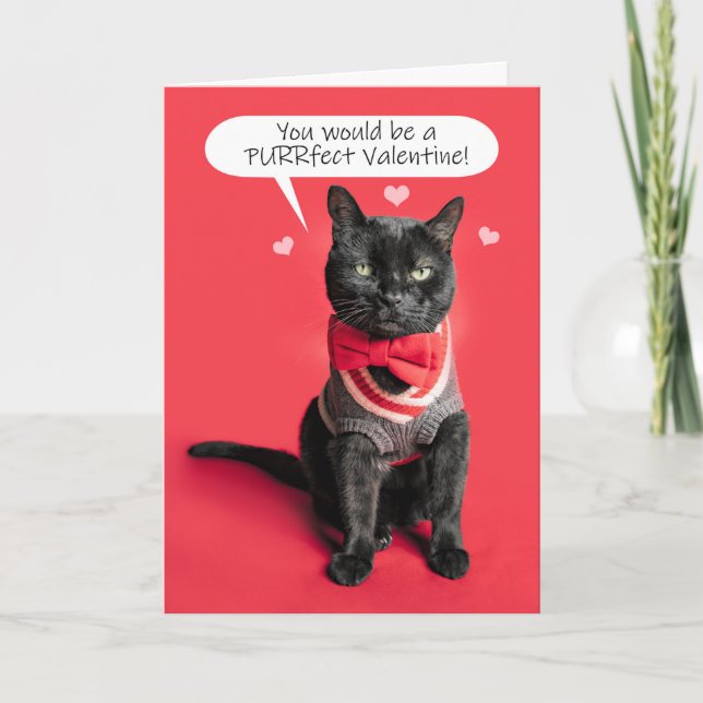 Happy Valentine's Day Cute Cat Dressed Up Humor Holiday Card (Front)