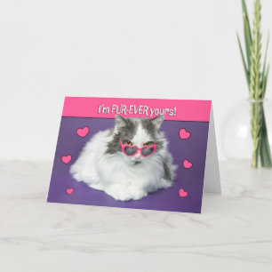 Happy Valentines Day Cute Cat In Heart Glasses Holiday Card