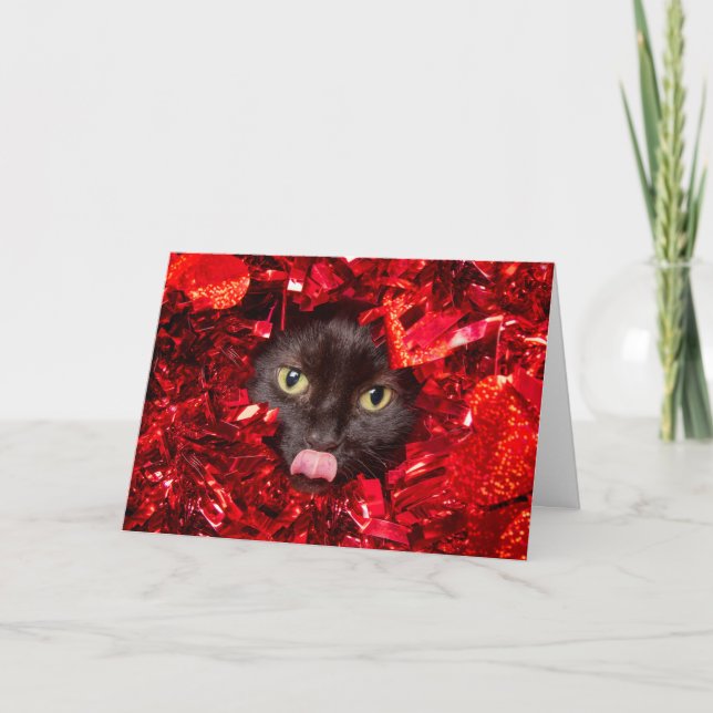 Happy Valentine's Day Cute Cat With Tongue Out Holiday Card (Front)