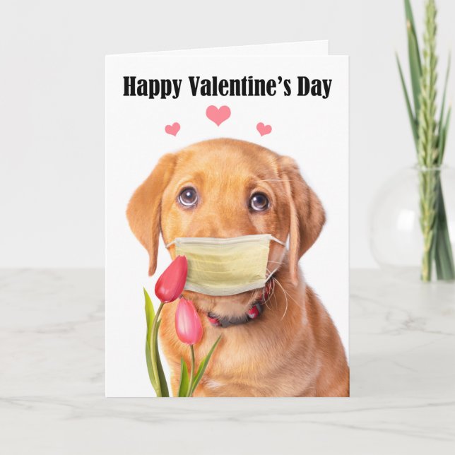 Happy Valentine's Day Cute Lab Puppy in Face Mask Holiday Card (Front)