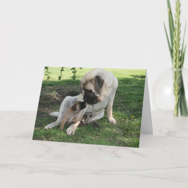 Happy Valentines Day Dad Mastiff card (Front)