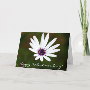 Happy Valentine's Day Daisy greeting card