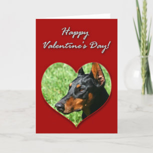 Happy Valentine's day Doberman Pinscher card