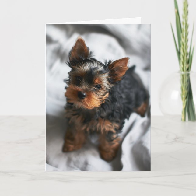 Happy Valentine's Day | Dog Face | Add Your Name Thank You Card (Front)