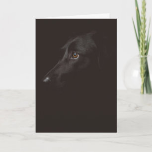 Happy Valentine's Day   Dog Face   Add Your Name Thank You Card