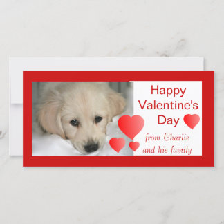 Happy Valentine's Day Dog Photo Cards