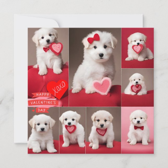 Happy Valentine's Day Dogs  Holiday Card (Front)