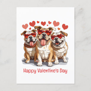 Happy Valentines Day English Bulldog Postcard