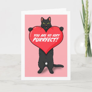 Happy Valentines Day For Anyone Cat Holding Heart Holiday Card