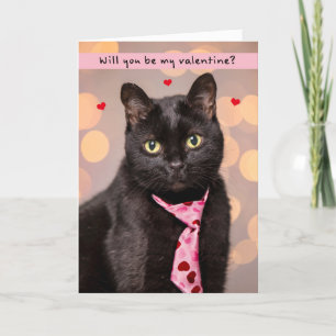 Happy Valentines Day For Anyone Cute Cat in Tie Holiday Card