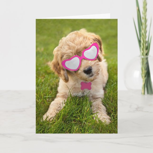 Happy Valentine's Day For Anyone Cute Goldendoodle Holiday Card (Front)