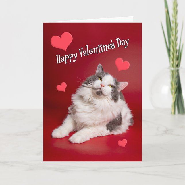 Happy Valentine's Day For Anyone Cute Smiling Cat Holiday Card (Front)