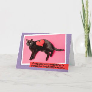 Happy Valentines Day For Anyone Funny Cat Humour  Holiday Card