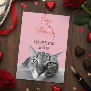 Happy Valentine's Day From Cat To Human  Funny Card