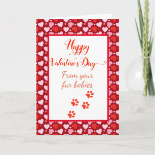 Happy Valentine's Day from Dogs Cats Pets Multiple Card