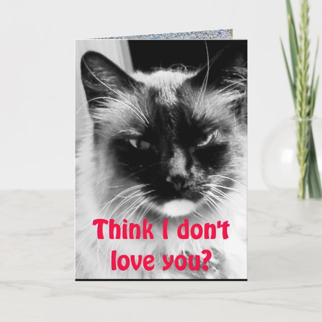 Happy Valentine's Day from the Cat Humour Holiday Card (Front)