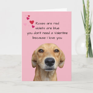 Happy Valentine's Day From The Dog Lover Card